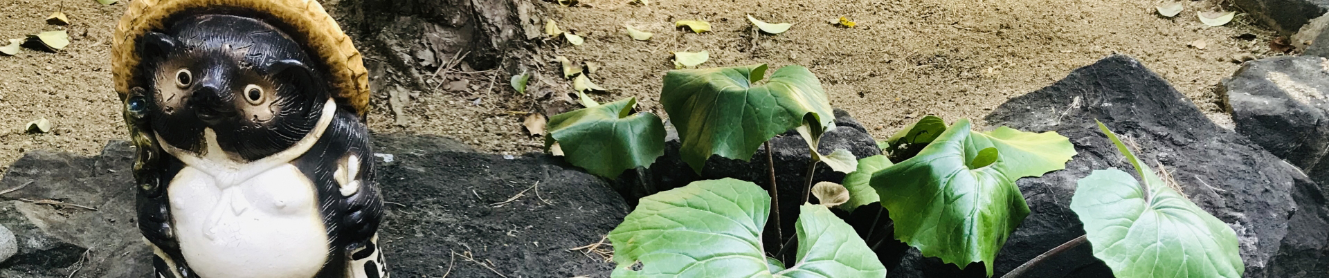 温泉エリアの画像