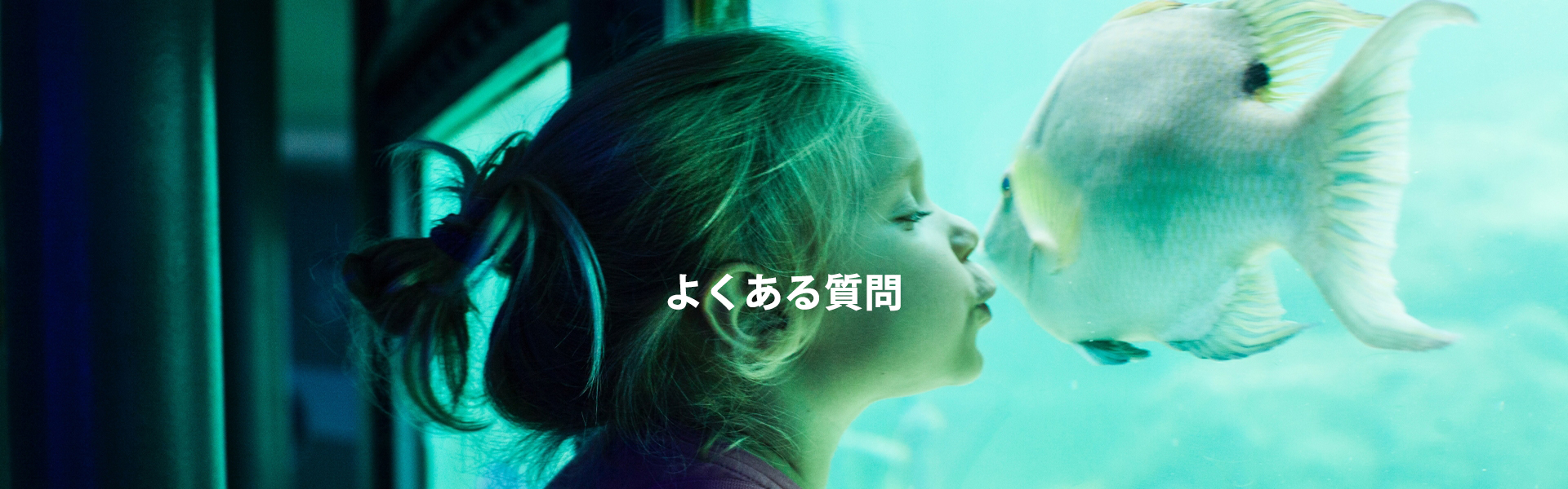  メインの画像１ 